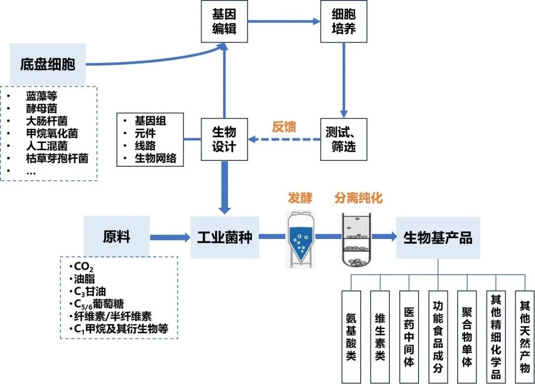 港澳六宝典