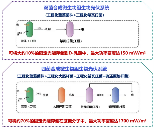 港澳六宝典